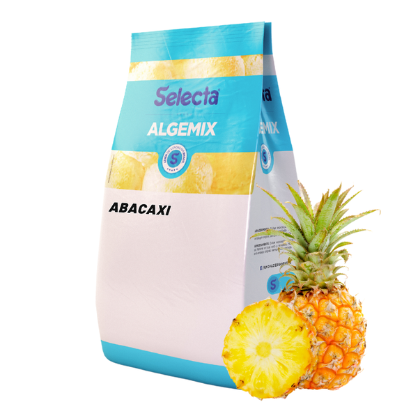 ■あめ Saborizante em Pó Selecta Algemix Abacaxi 1kg – Davipan