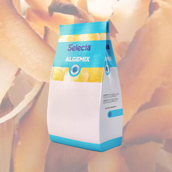 Saborizante em Pó Selecta Algemix Coco Queimado 800g – Davipan