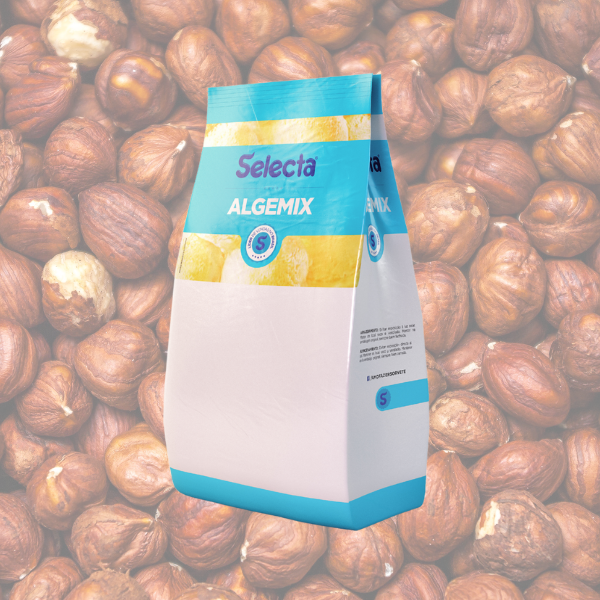 Saborizante em Pó Selecta Algemix Chocolate com Avelã 1 Kg – Davipan